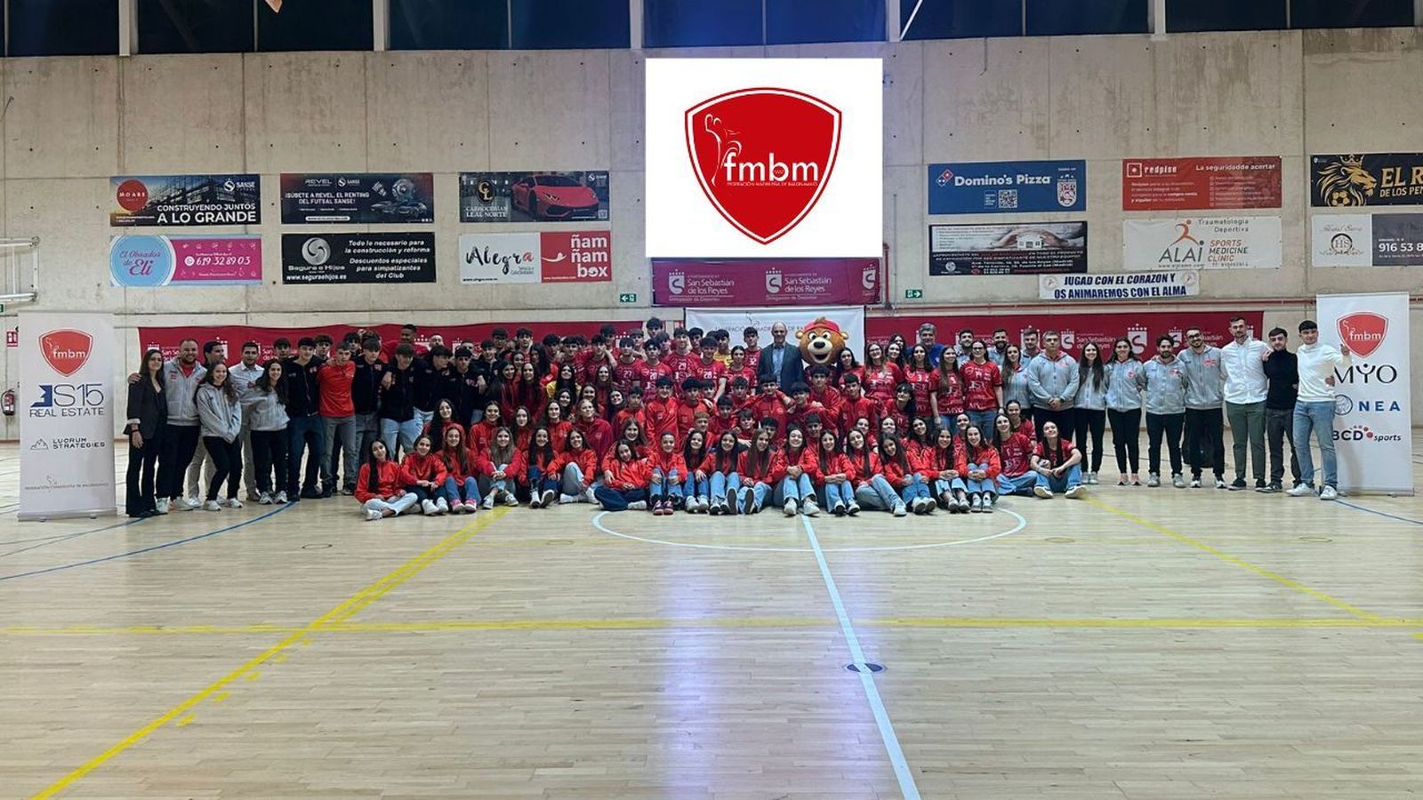Selecciones madrileñas de balonmano