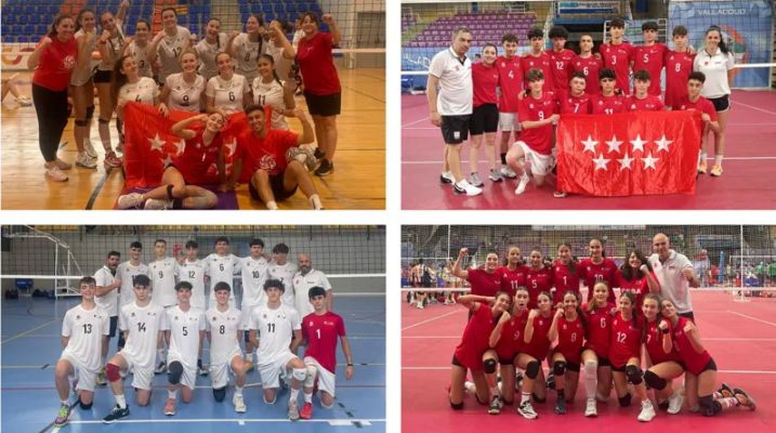 Voleibol