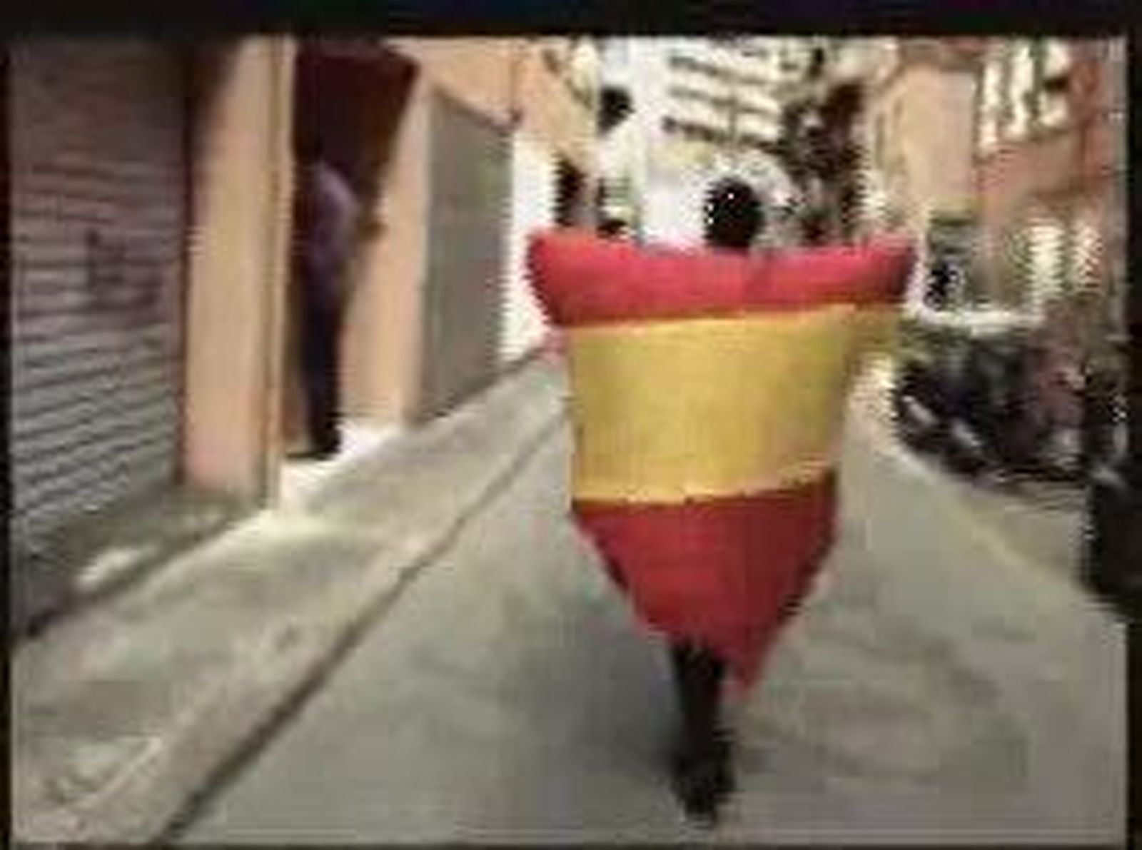 VideoCiu_20101121V0.wmv