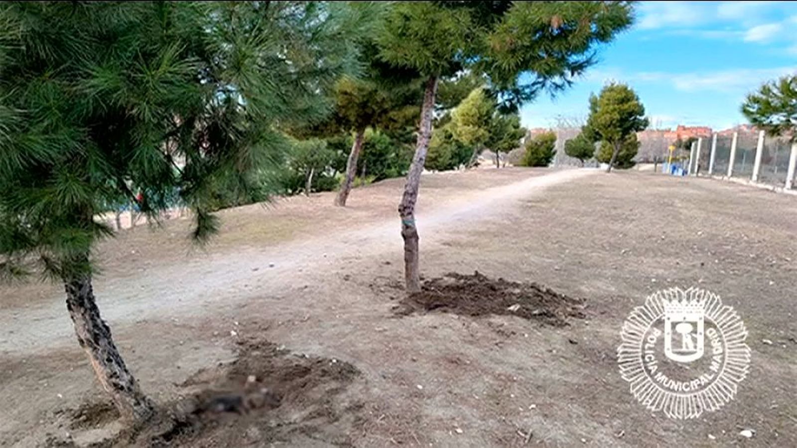 Hallan un cementerio ilegal de perros en el parque forestal de Entrevías