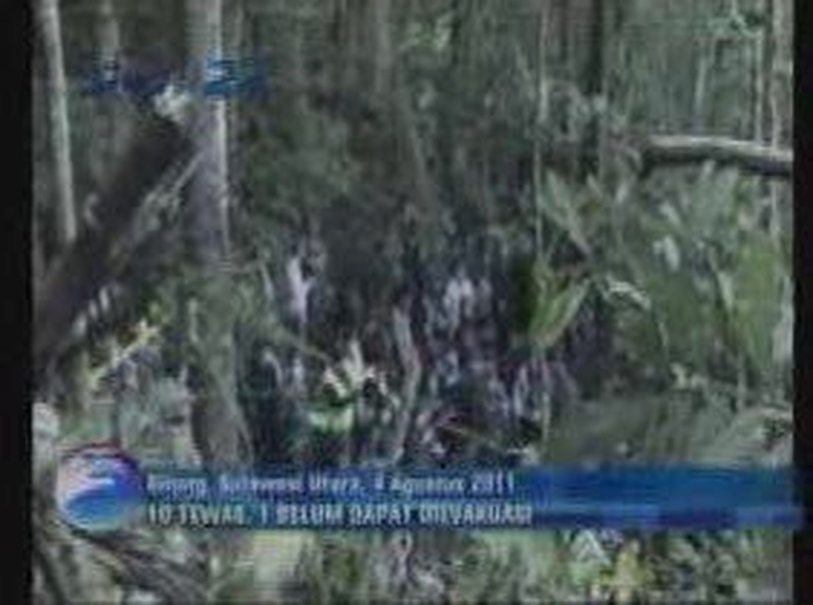 Diez muertos al estrellarse un helicóptero en Indonesia
