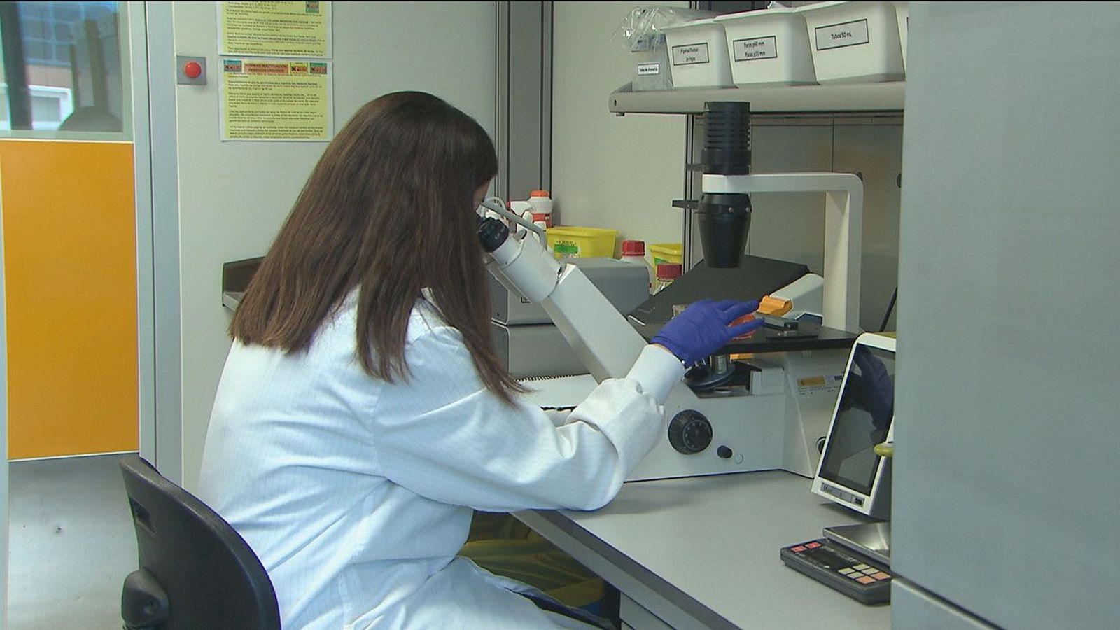 El Hospital Infantil Niño Jesús prueba un nuevo tratamiento contra la anemia de Fanconi