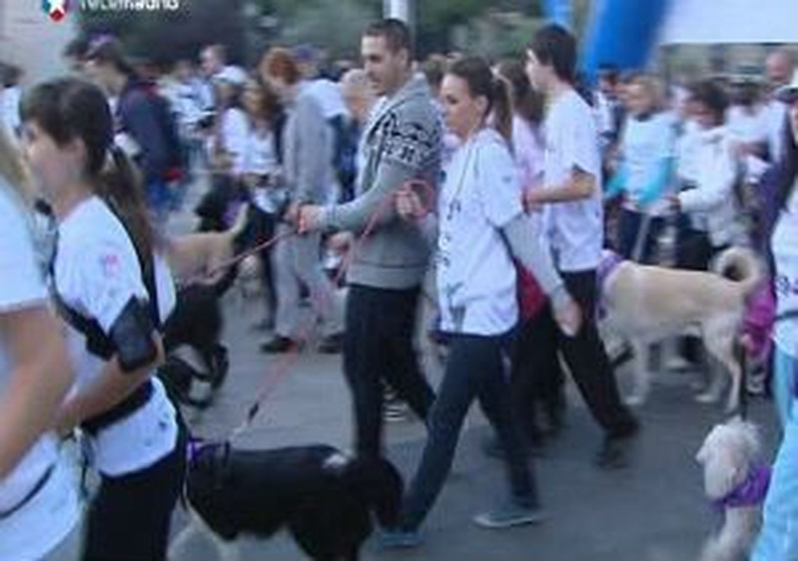 Primer "perrotón" en Madrid