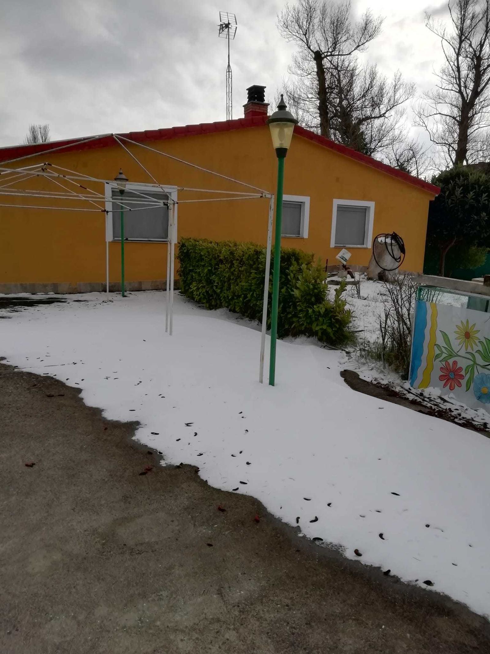 Jóvenes de Villaviciosa hacen la compra a personas mayores que no pueden salir