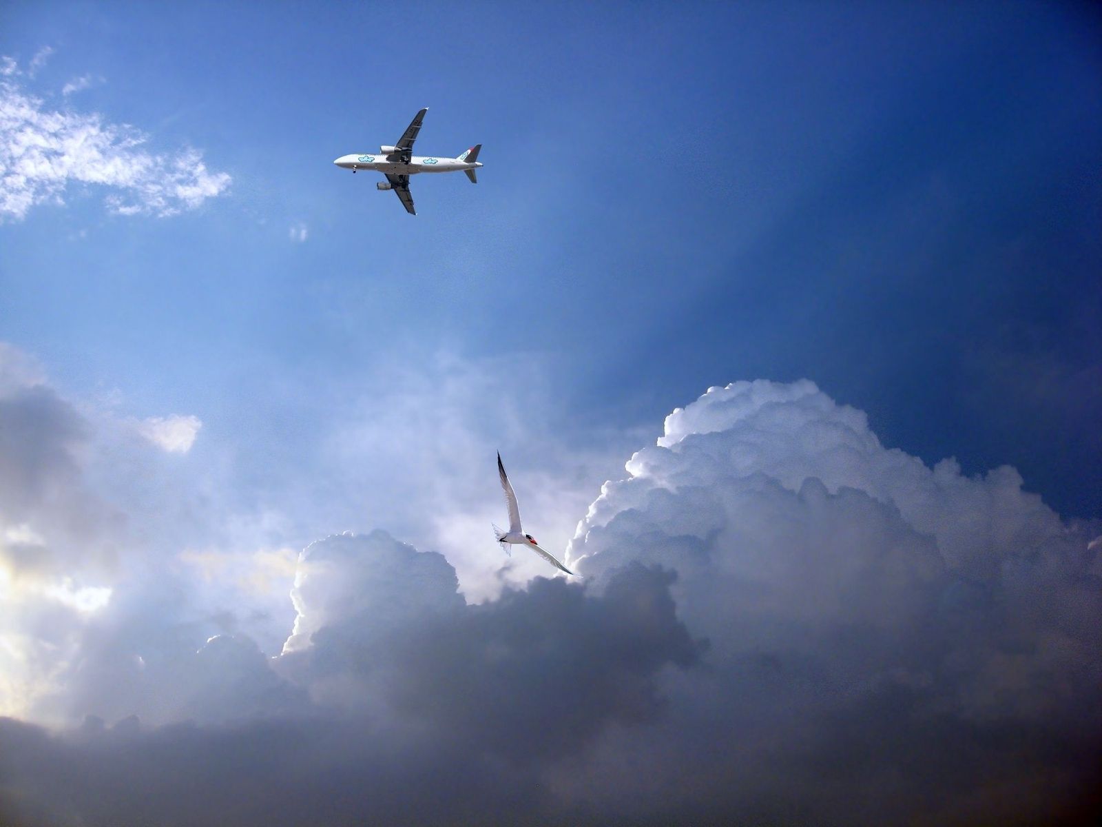De Madrid al cielo... sin activar el modo avión