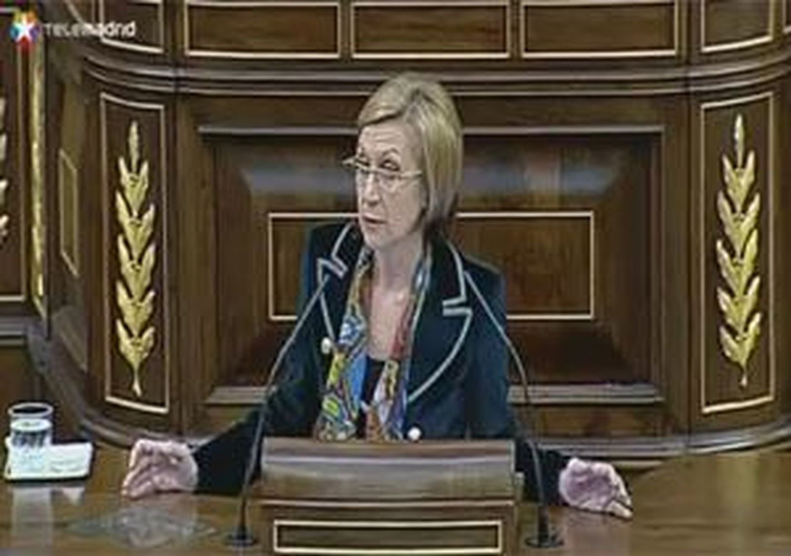 Rosa Díez tilda de "cobardía" a Interior por no tratar de ilegalizar Amaiur