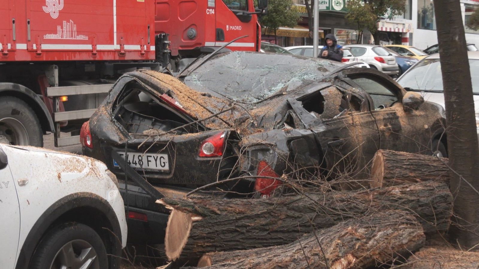 La caída de un árbol de 24 metros sobre dos turismos preocupa a los vecinos del Barrio de Peñagrande