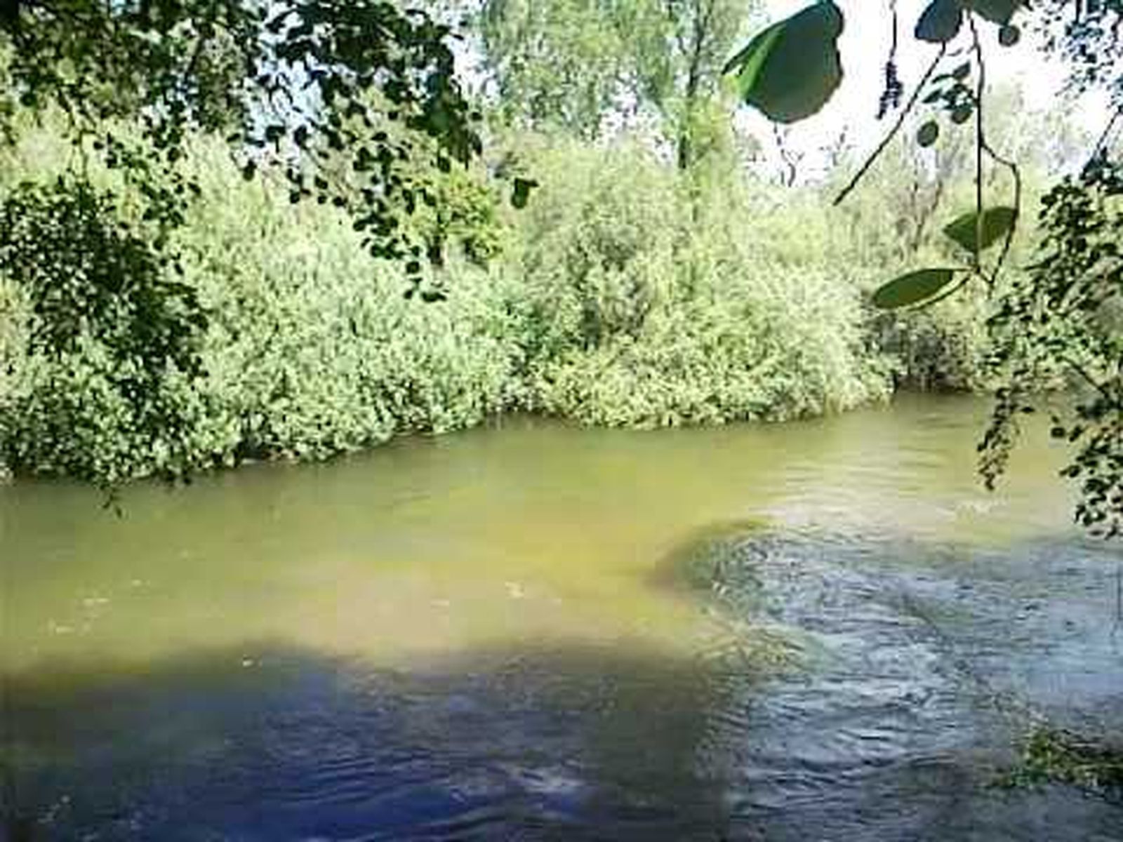 Río Alberche
