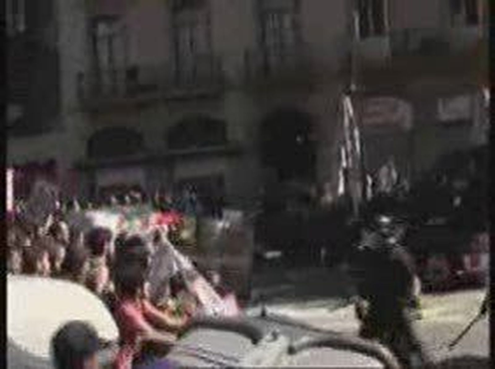 antisist_2010930V0.wmv
