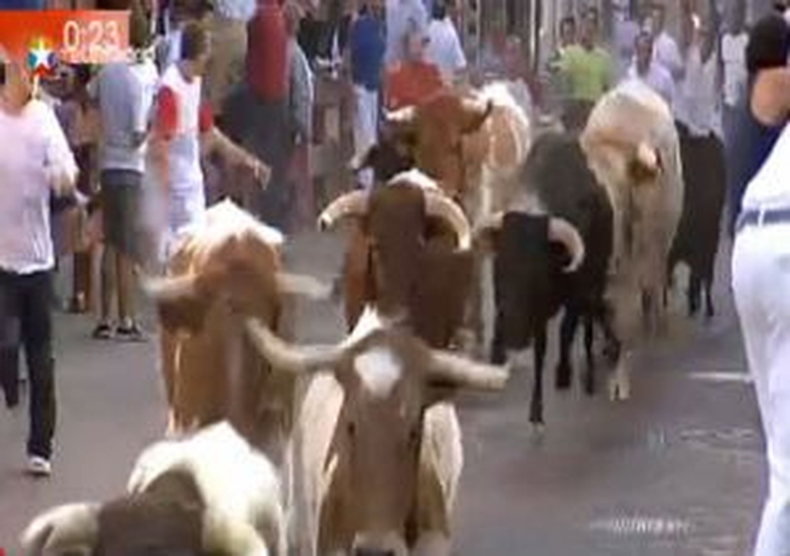 Cuatro heridos, uno por asta de toro, en el primer encierro fiestas San Sebastián de los Reyes