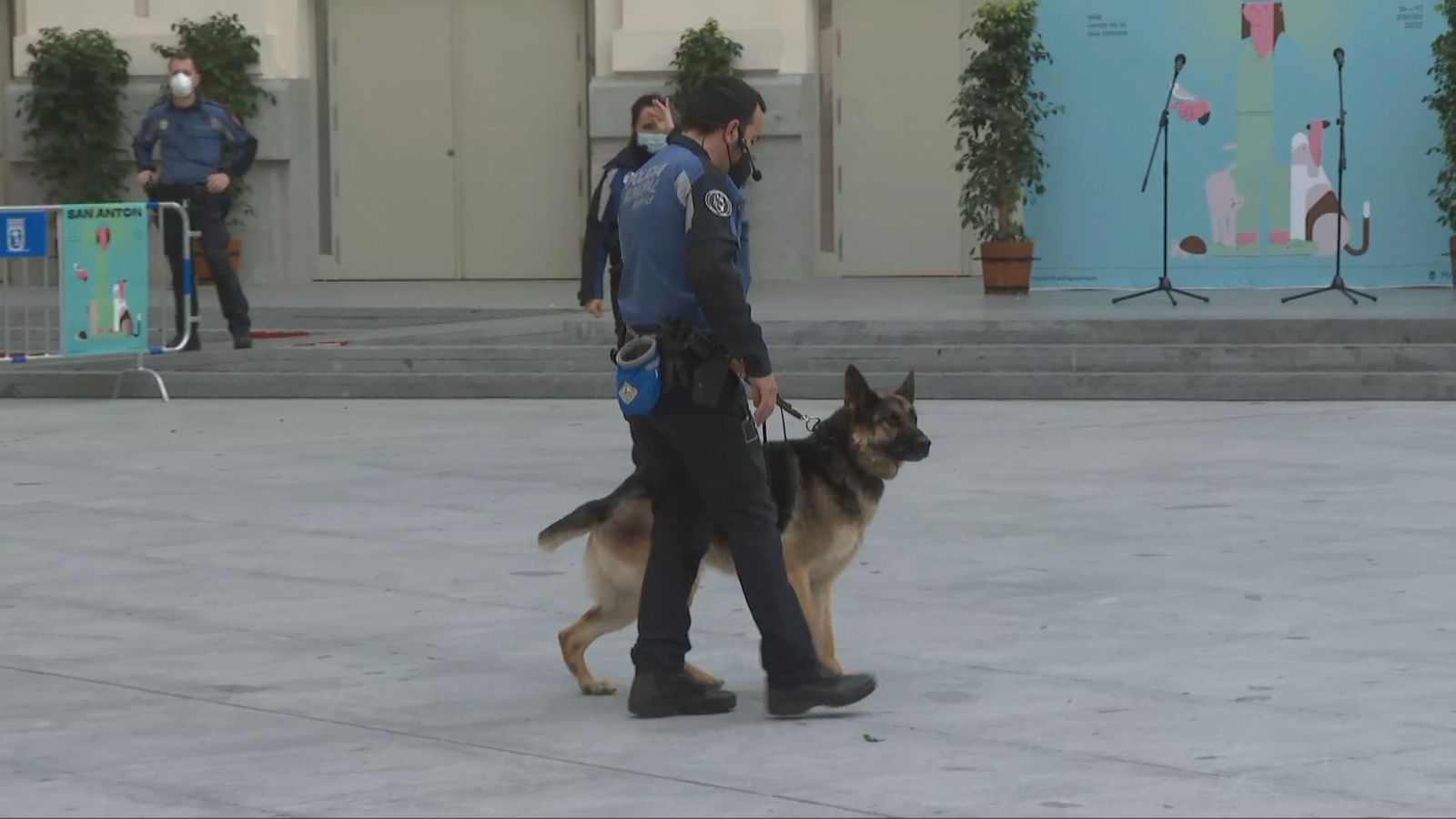 La unidad canina de la Policía Municipal, lista para la exhibición por San Antón