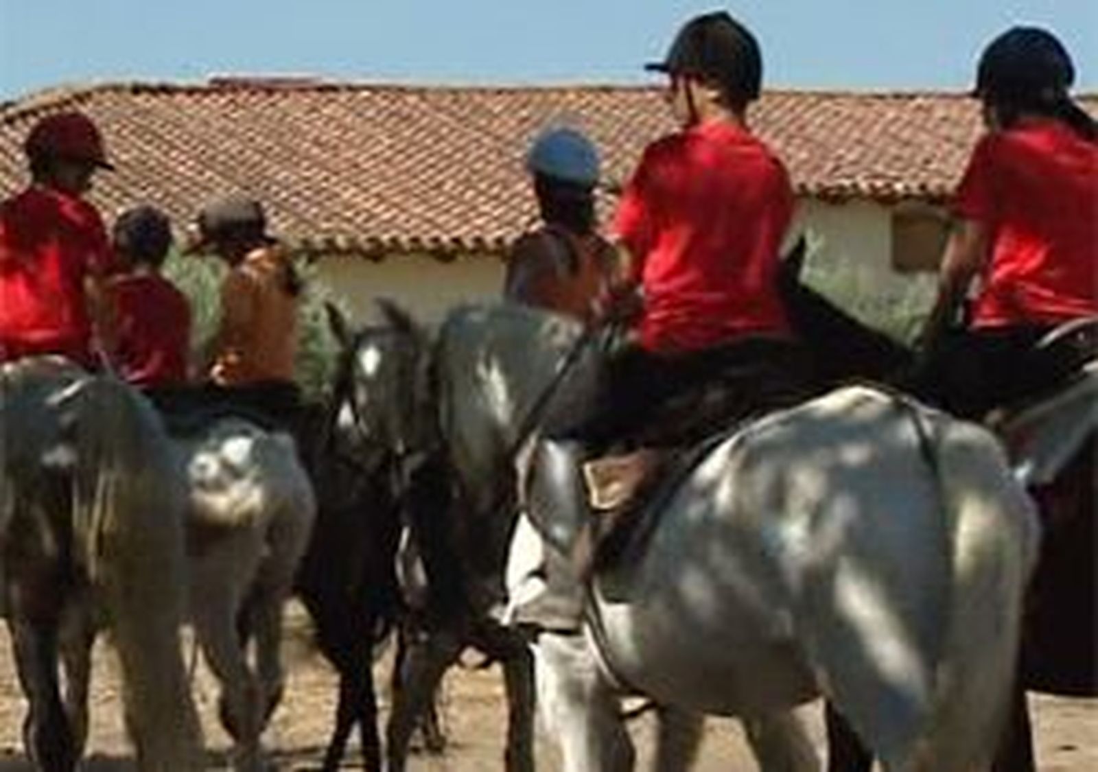 La Comunidad de Madrid favorece la integración de niños tutelados a través de la hipoterapia
