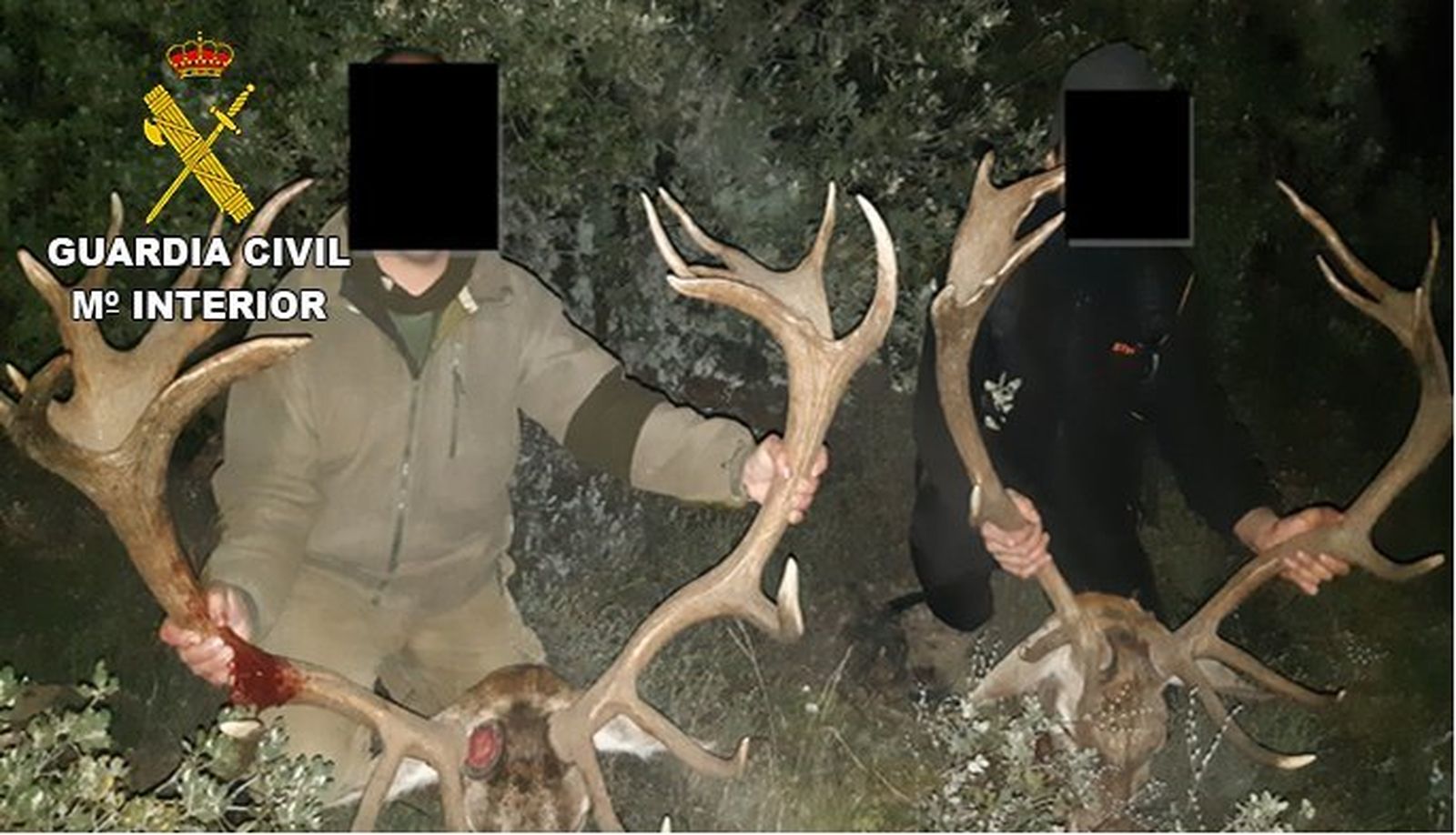 Investigan a un grupo criminal que organizaba cacerías en zonas protegidas