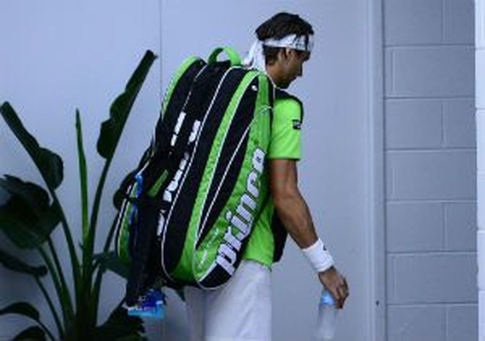 Open Australia: Ni Ferrer ni Djokovic estarán en semifinales
