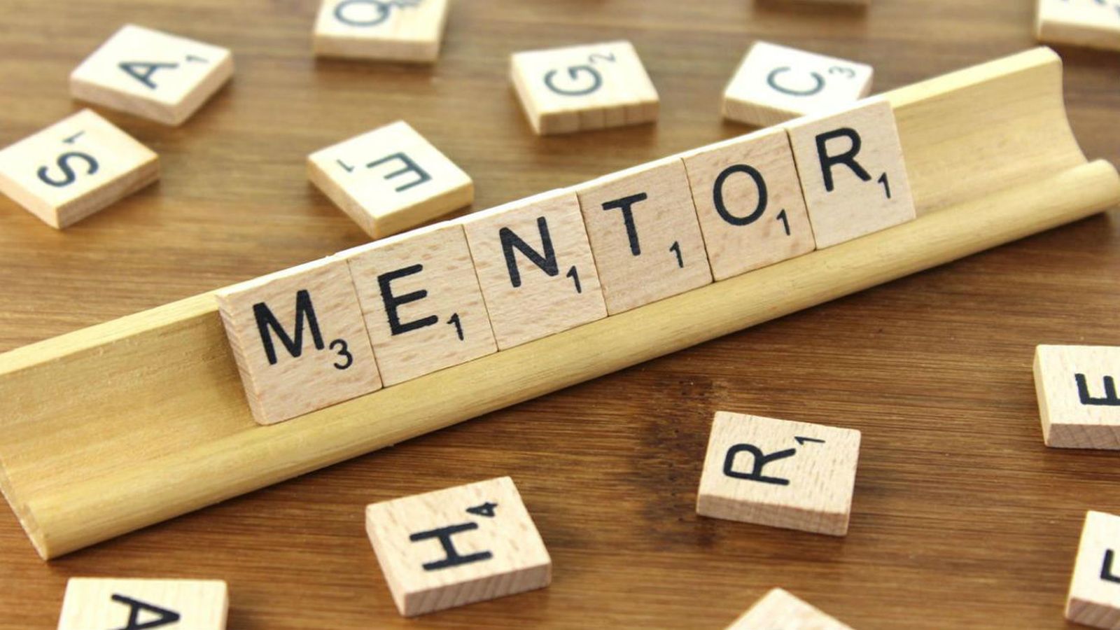 MENTOR - MADRID TRABAJA