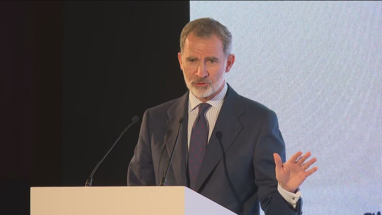 El Rey destaca el enorme potencial de España en el marco de una economía globalizada