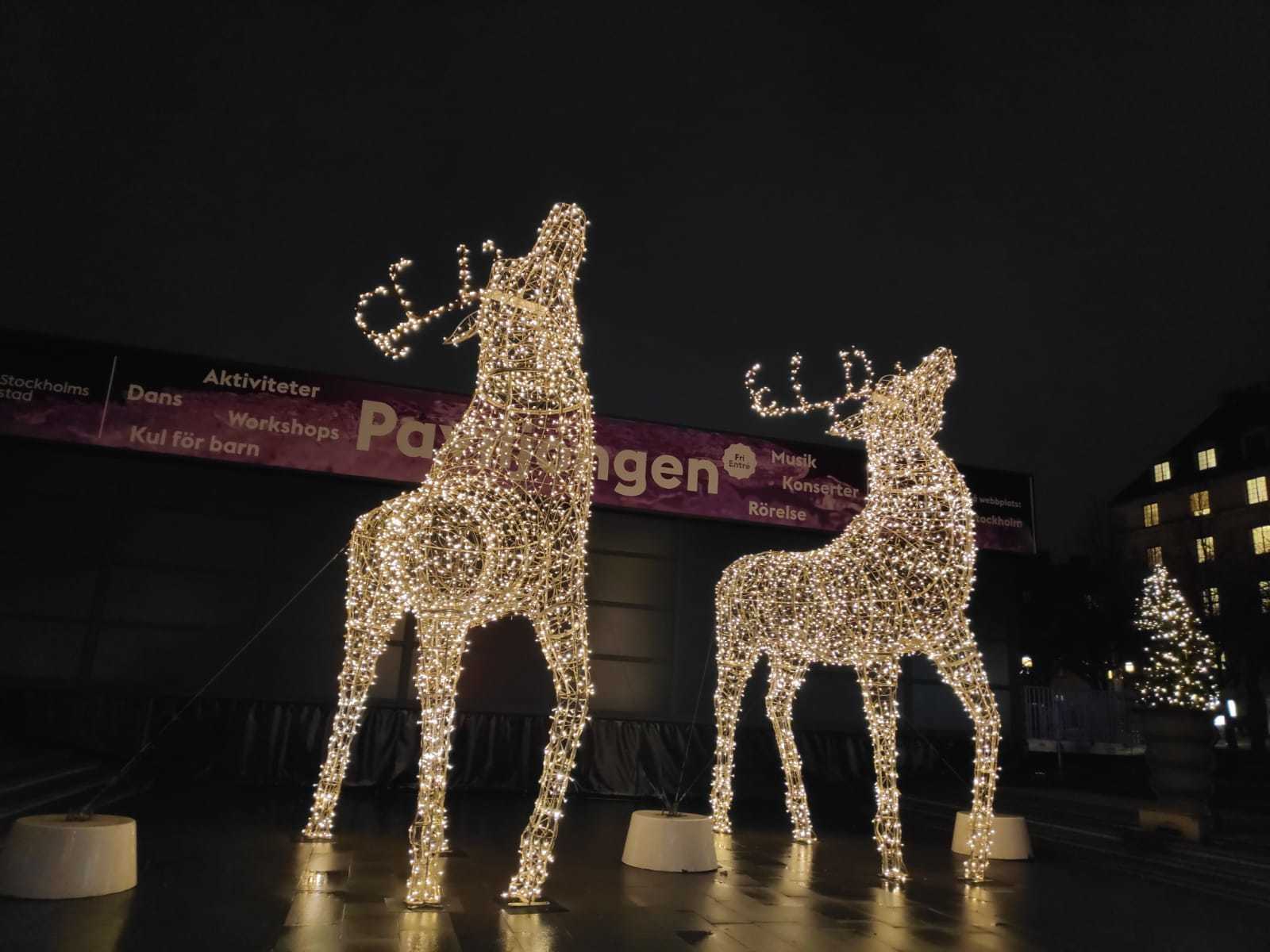 Madrileños por el mundo visita Estocolmo en Navidad