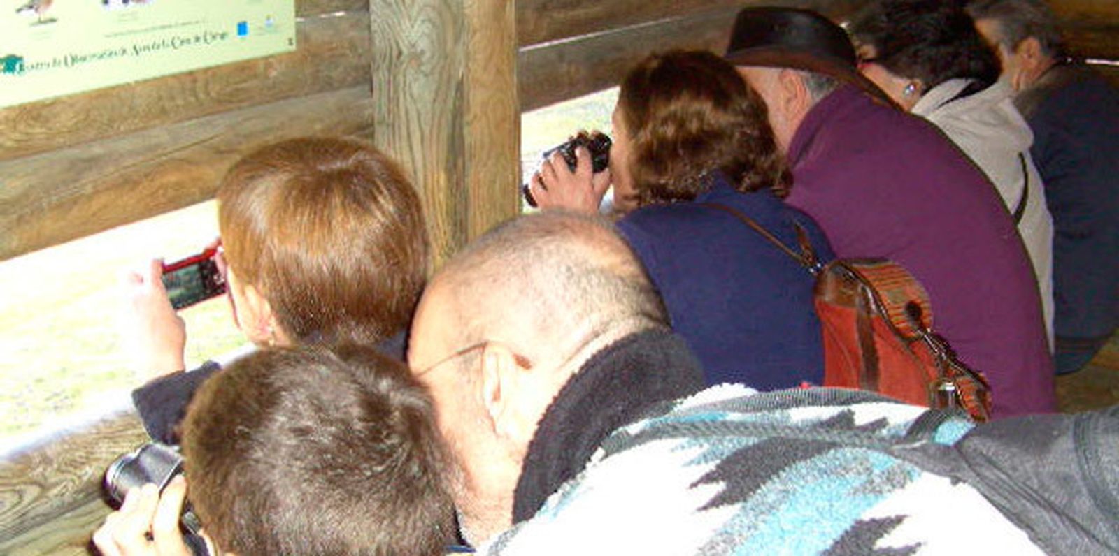 Taller de observación de aves