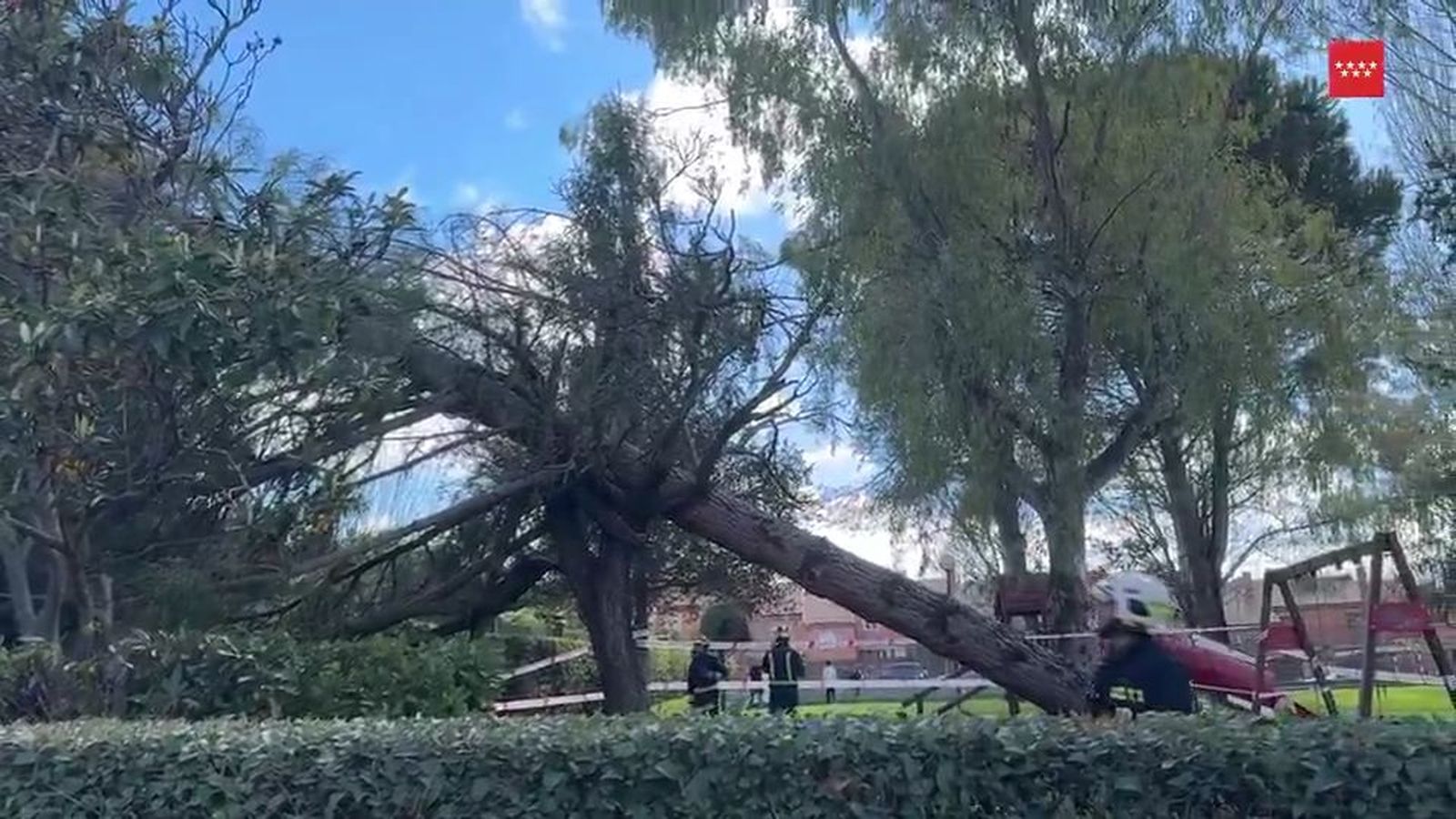 Cae un árbol sobre una finca en Las Rozas