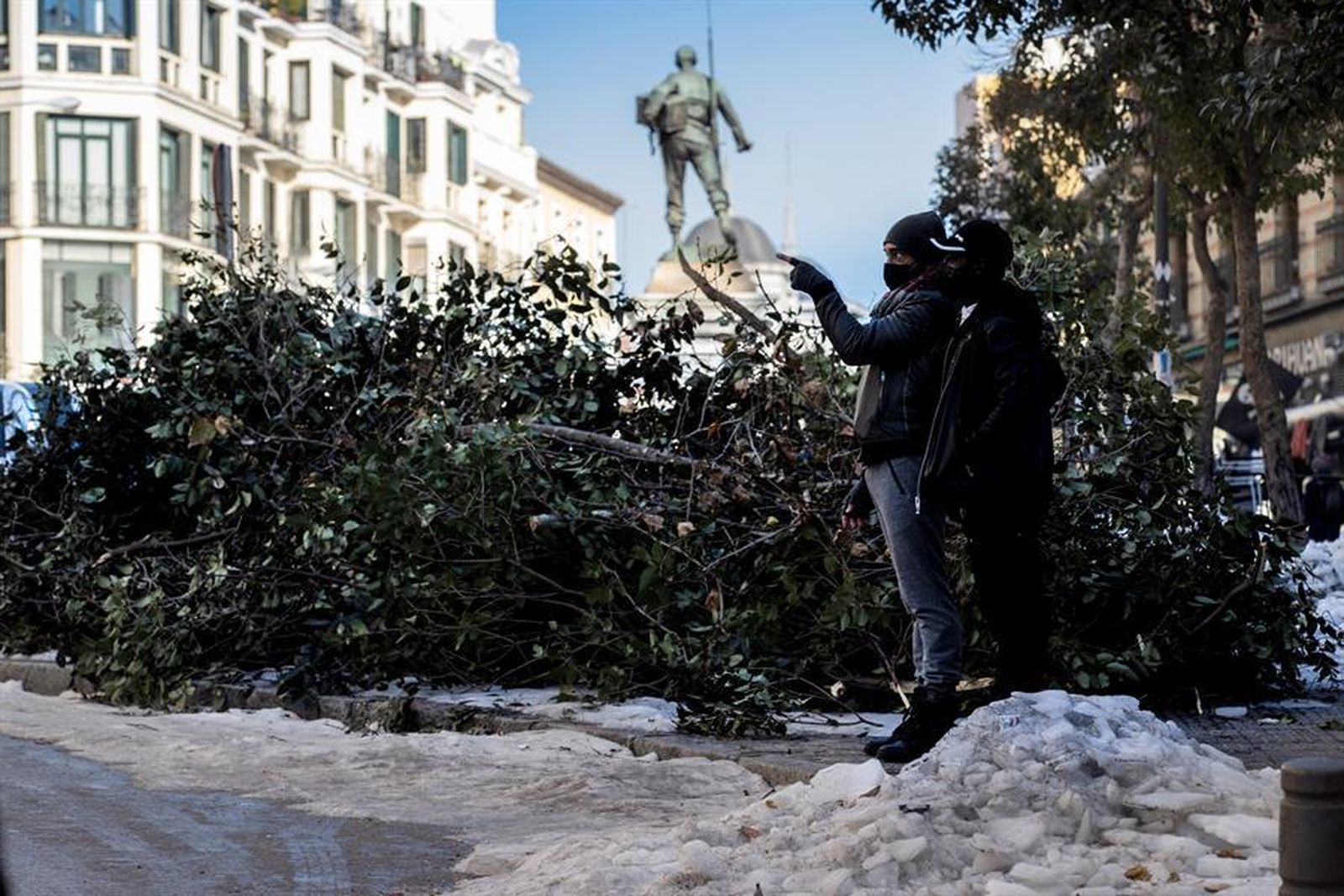 Árboles caídos tras la nevada en la plaza de Cascorro en Madrid