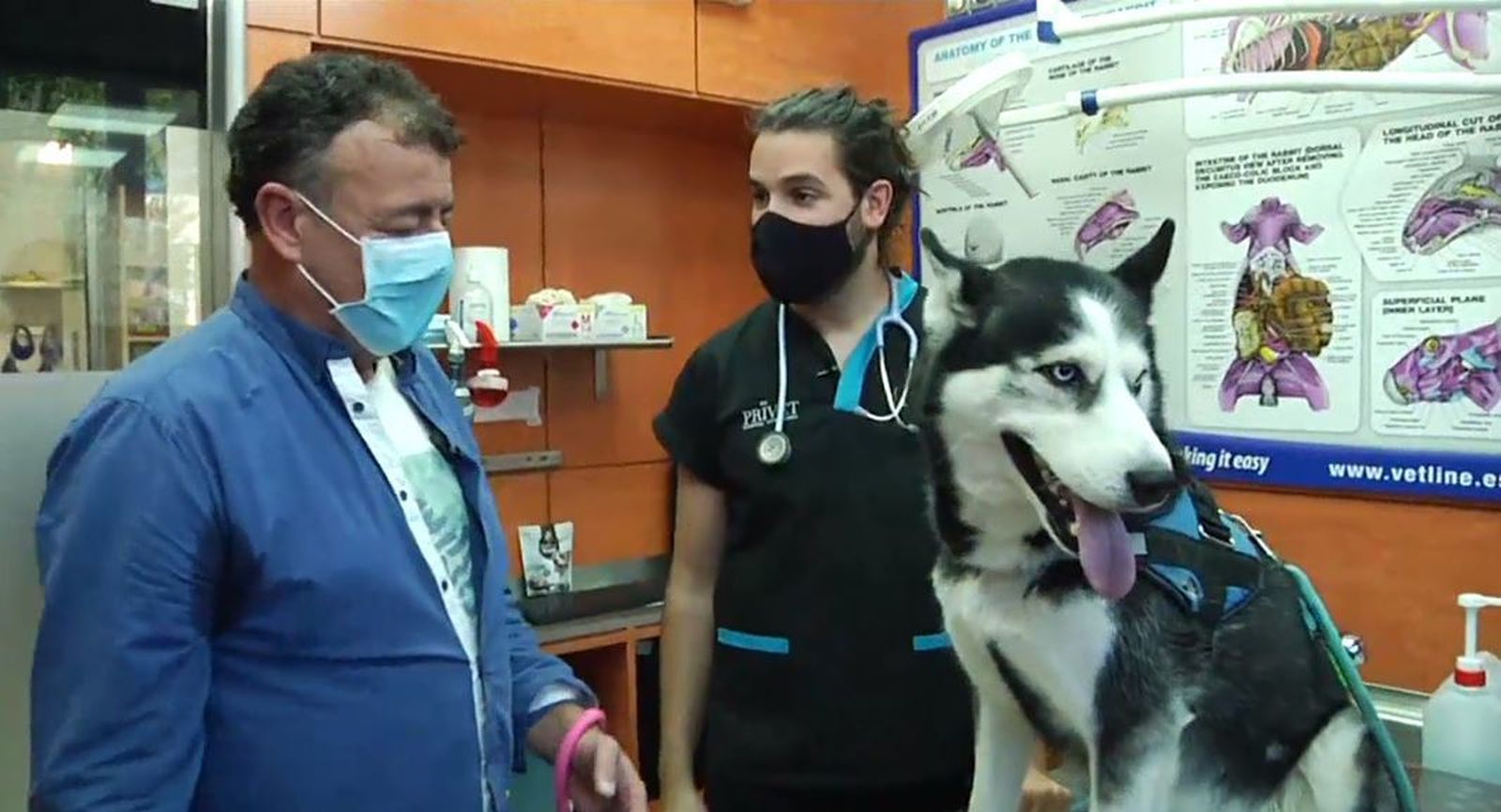 Max y Bombón, dos perros influencers