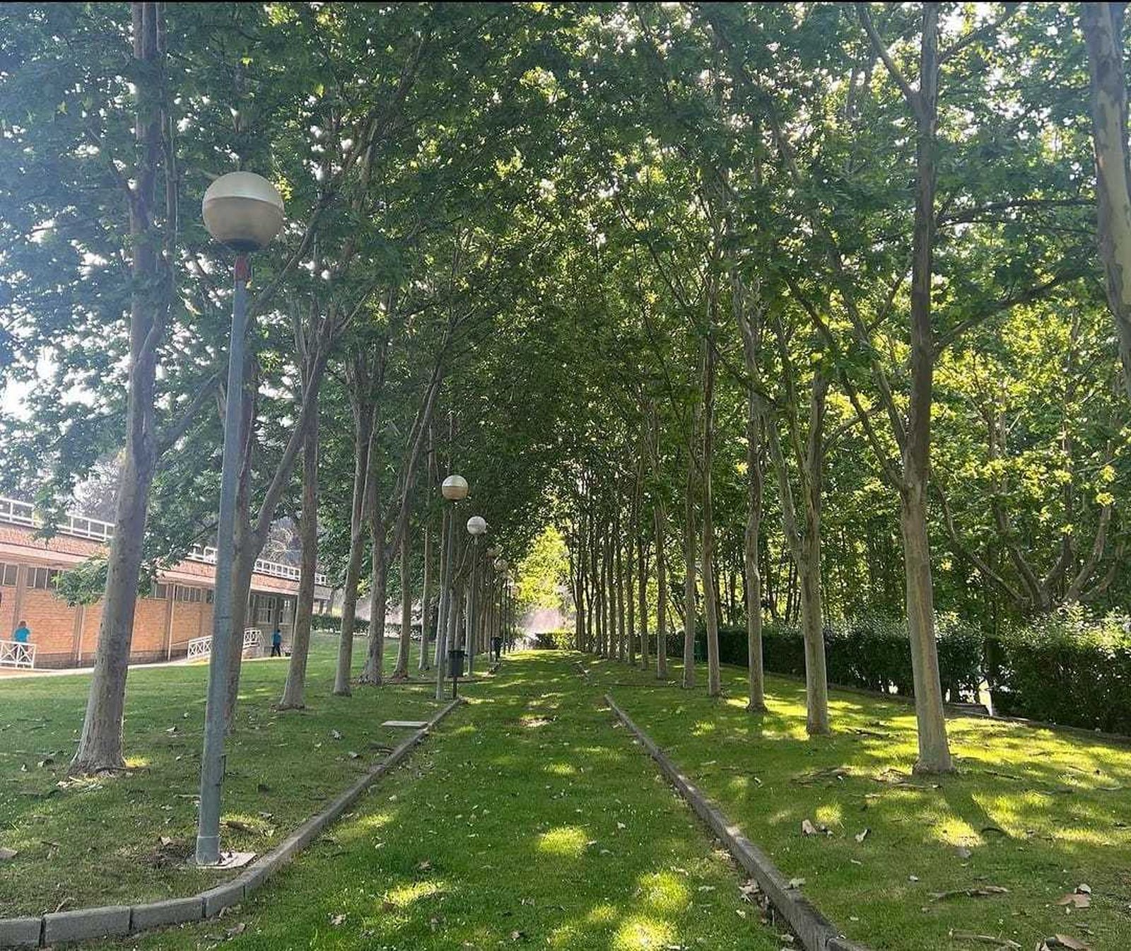 Campus UCM