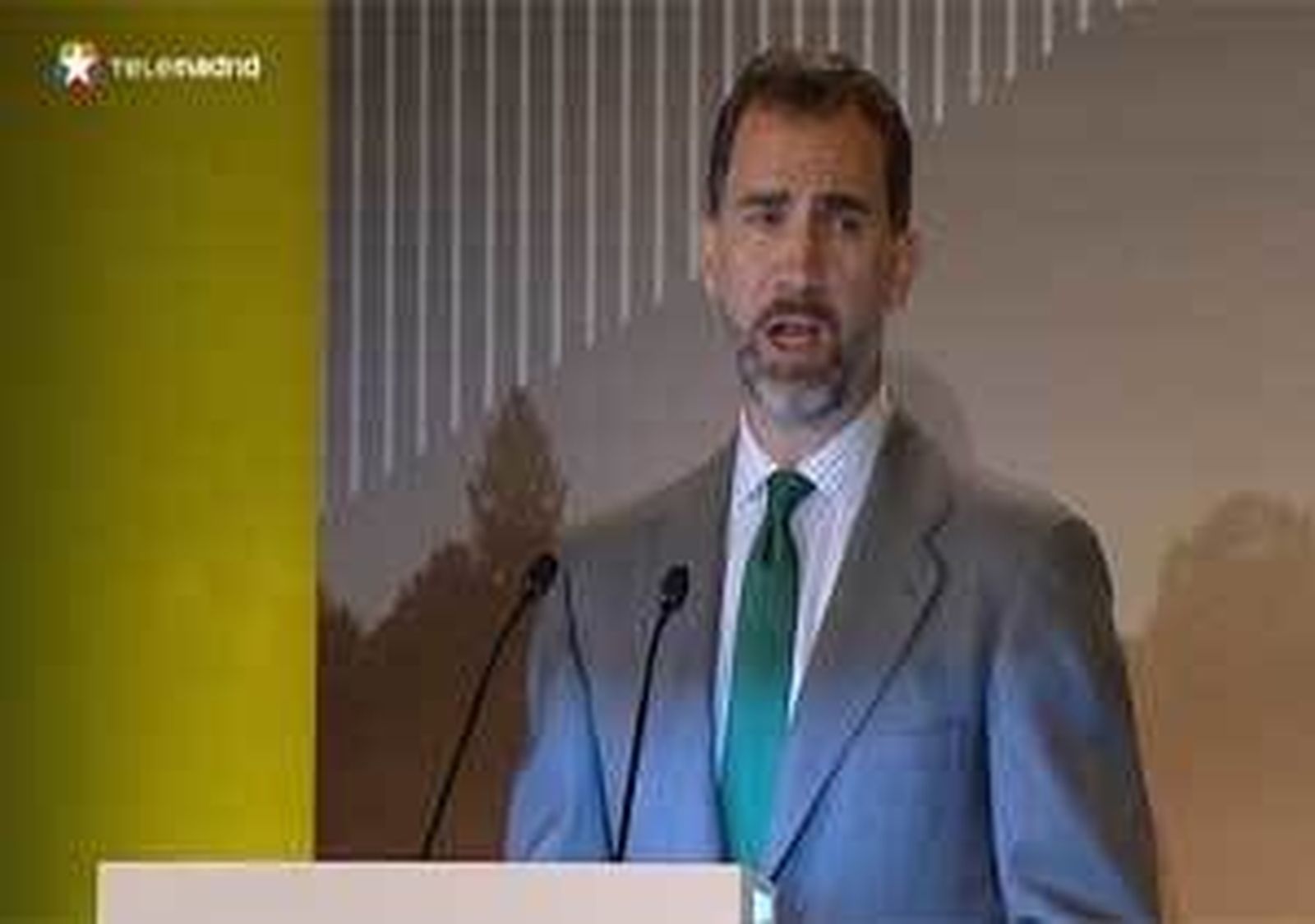 El Príncipe afirma que la recesión obliga a abordar  con determinación el cambio climático