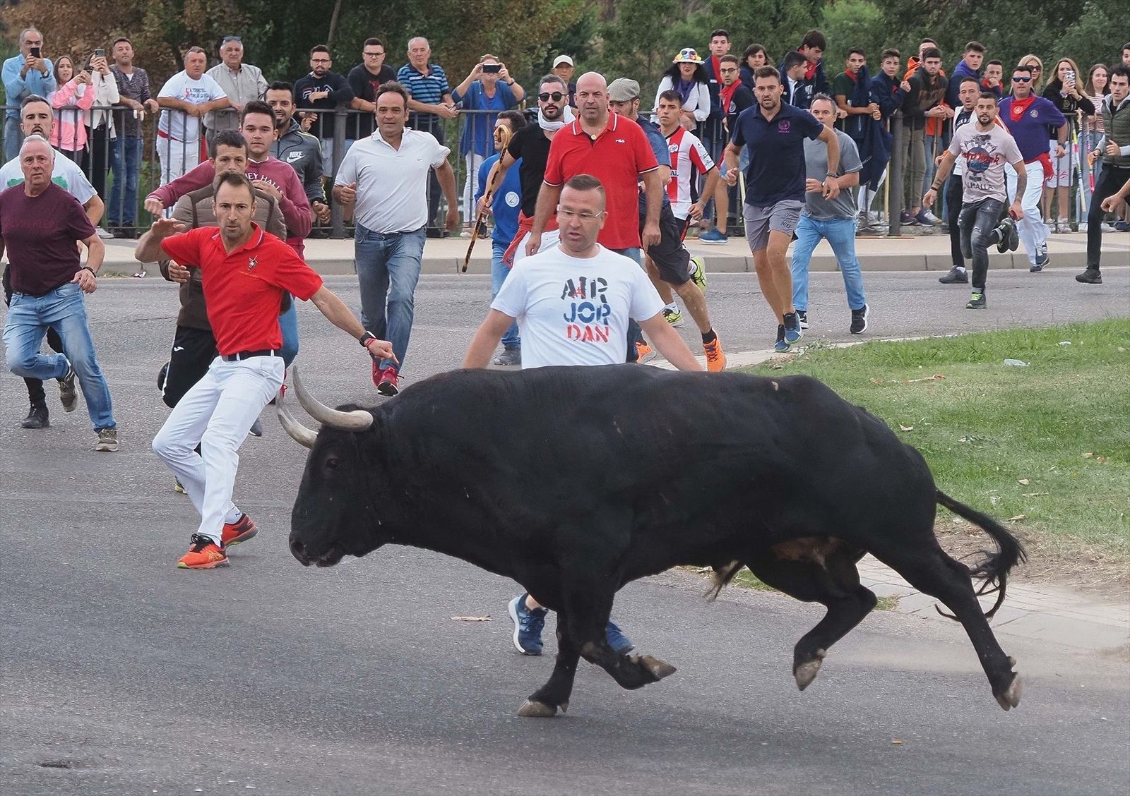 El astado 'Manjar' protagoniza un encierro del Toro de la Vega tranquilo y sin incidentes