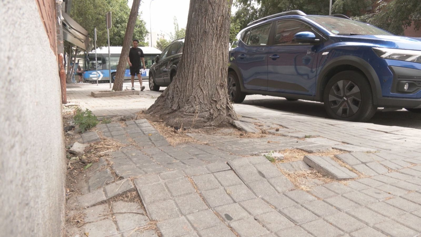 Deterioro y abandono en Puerto Chico, Aluche: los vecinos piden soluciones inmediatas