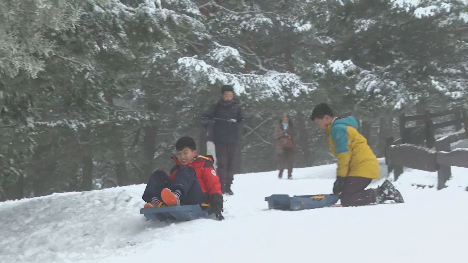 Cientos de personas disfrutan de una blanca Navidad en la sierra de Madrid