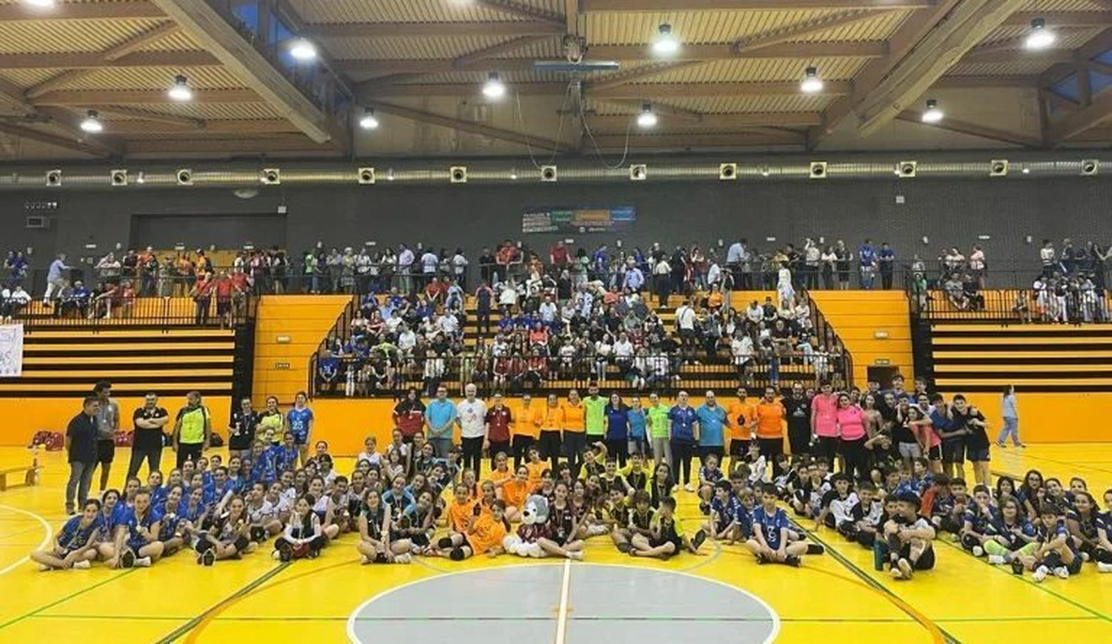 voleibol
