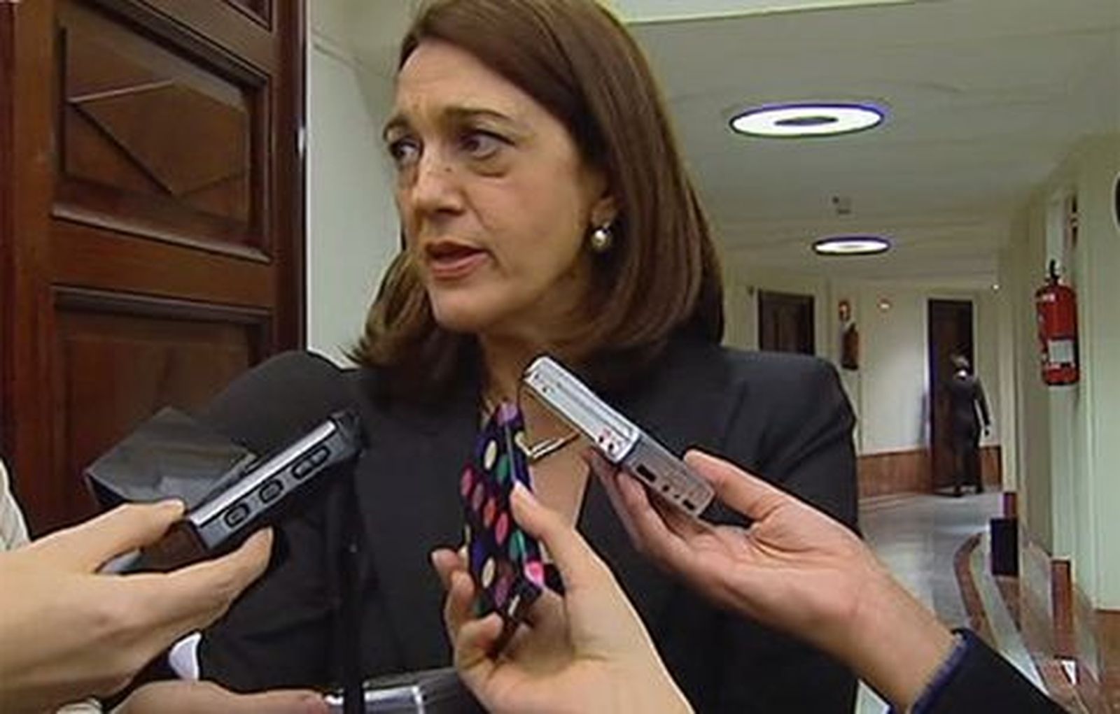Soraya Rodríguez asegura que los socialistas nunca han apoyado homenajes a terroristas