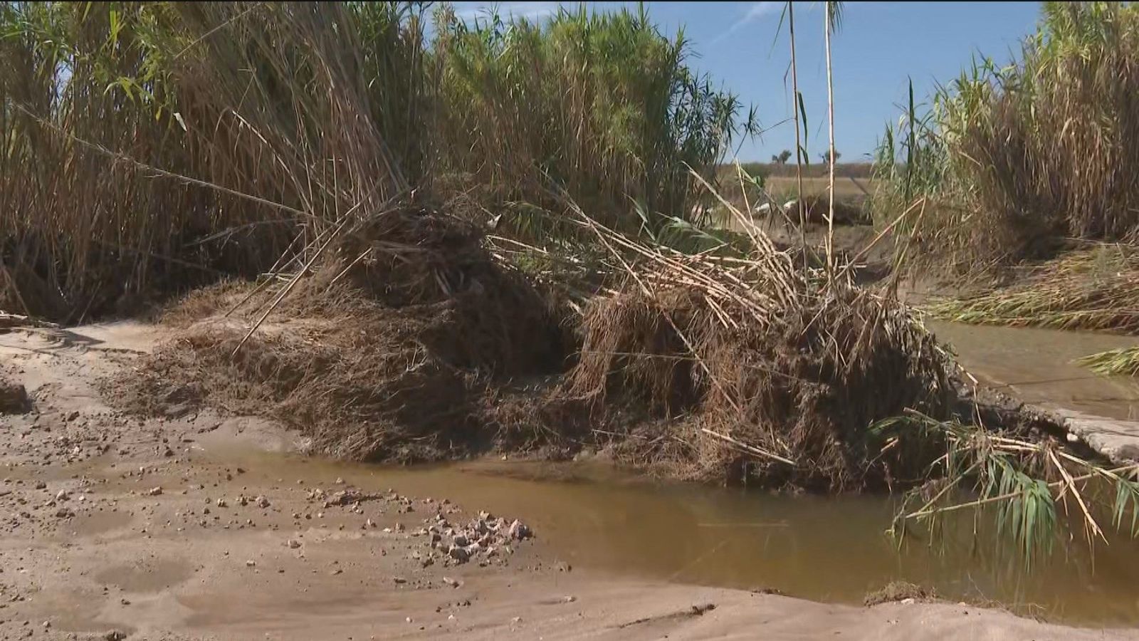 Los agricultores evalúan los daños de la DANA en la zona de Navalcarnero