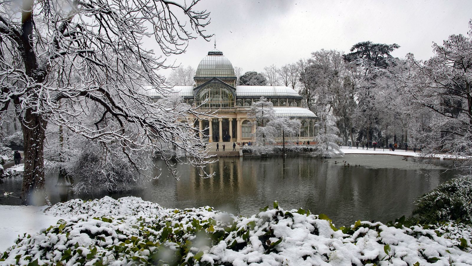 El Palacio de Cristal del Retiro nevado, tras el paso de la borrasca Filomena