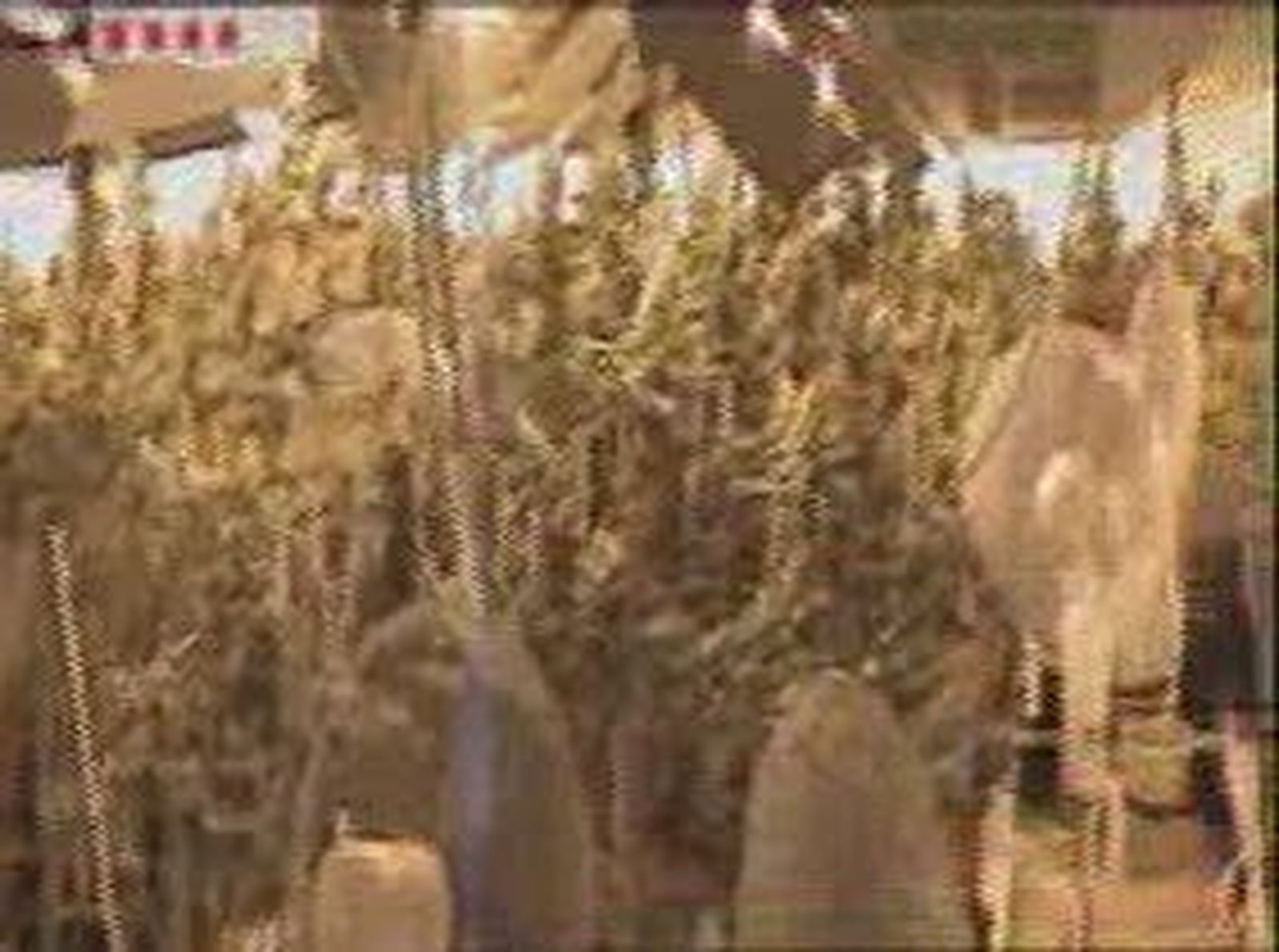 5marihua_2010105V0.wmv