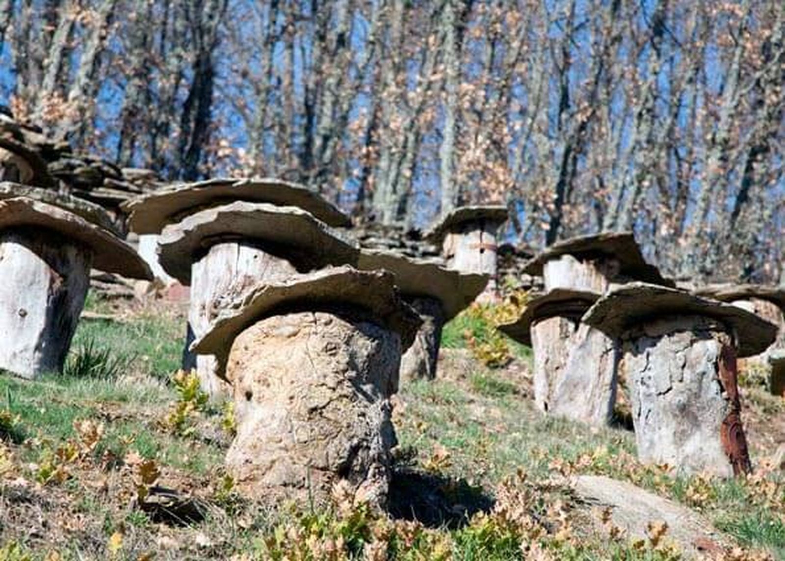 Un colmenar en La Hiruela, en la Sierra Norte de Madrid