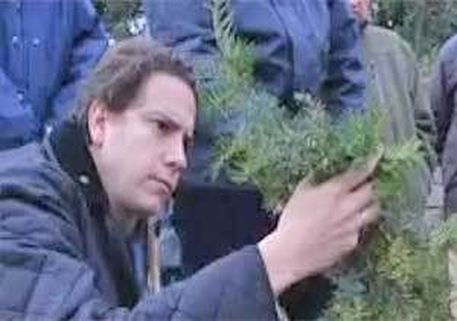 La Comunidad impulsa la repoblación con plantas autóctonas tras los incendios de la Sierra Oeste