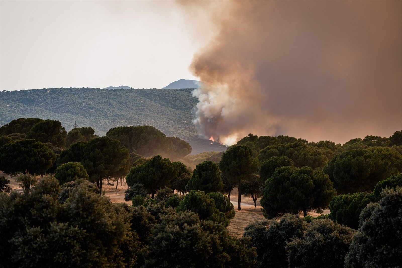 Incendio en San Martín de Valdeiglesias, Madrid
