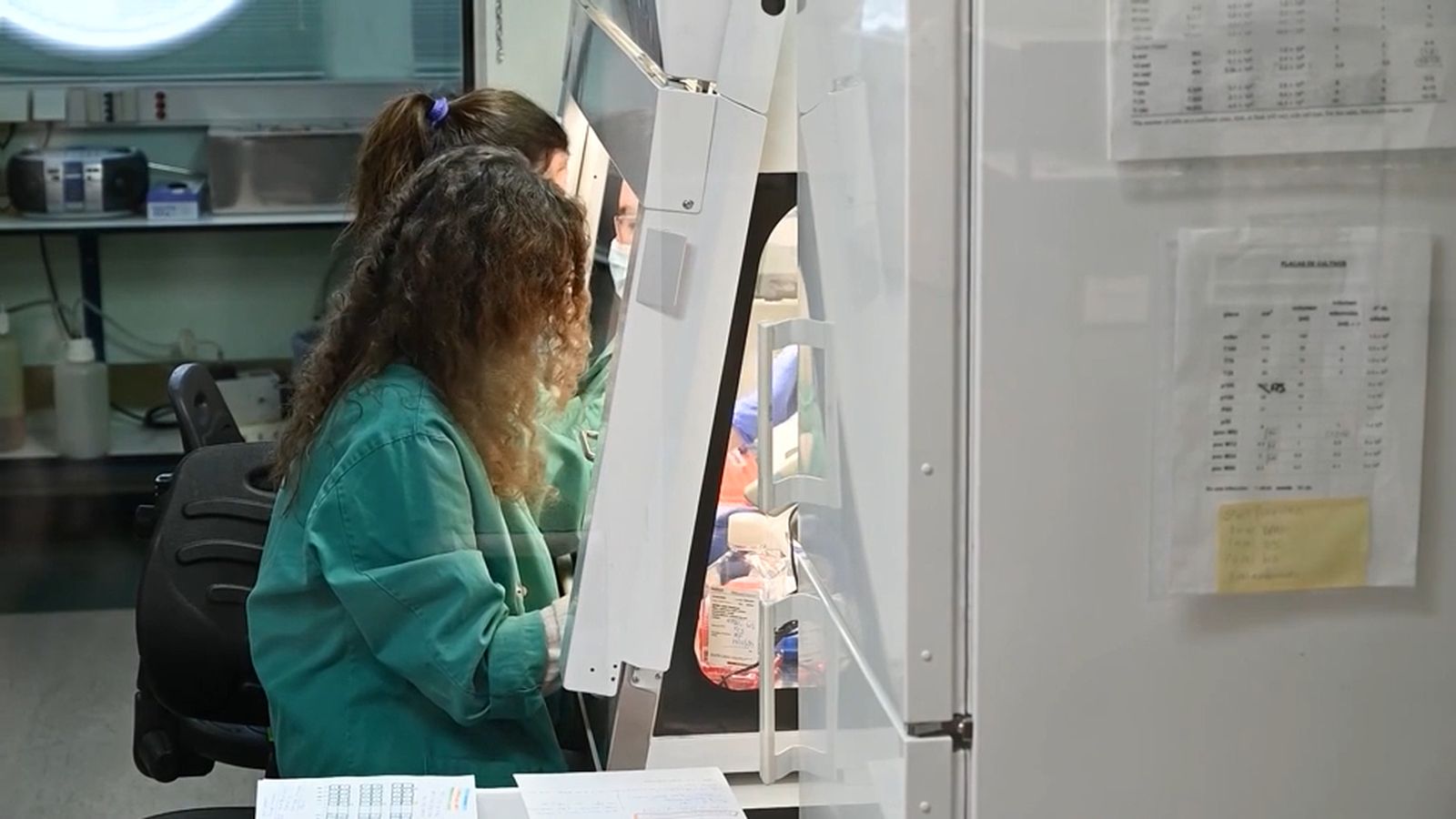 Investigación