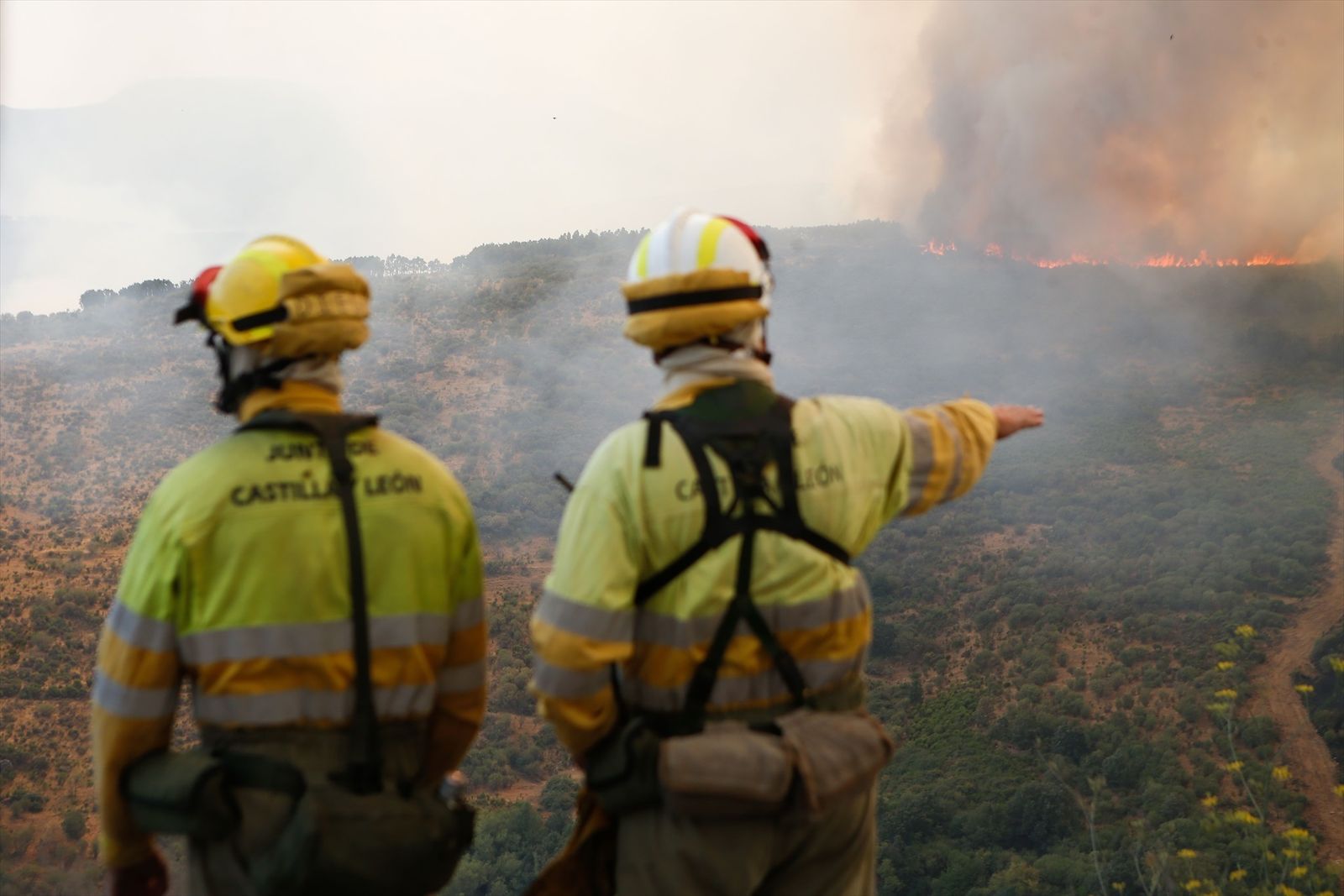 Varios bomberos observan el incendio forestal de agosto en La Cabrera, León