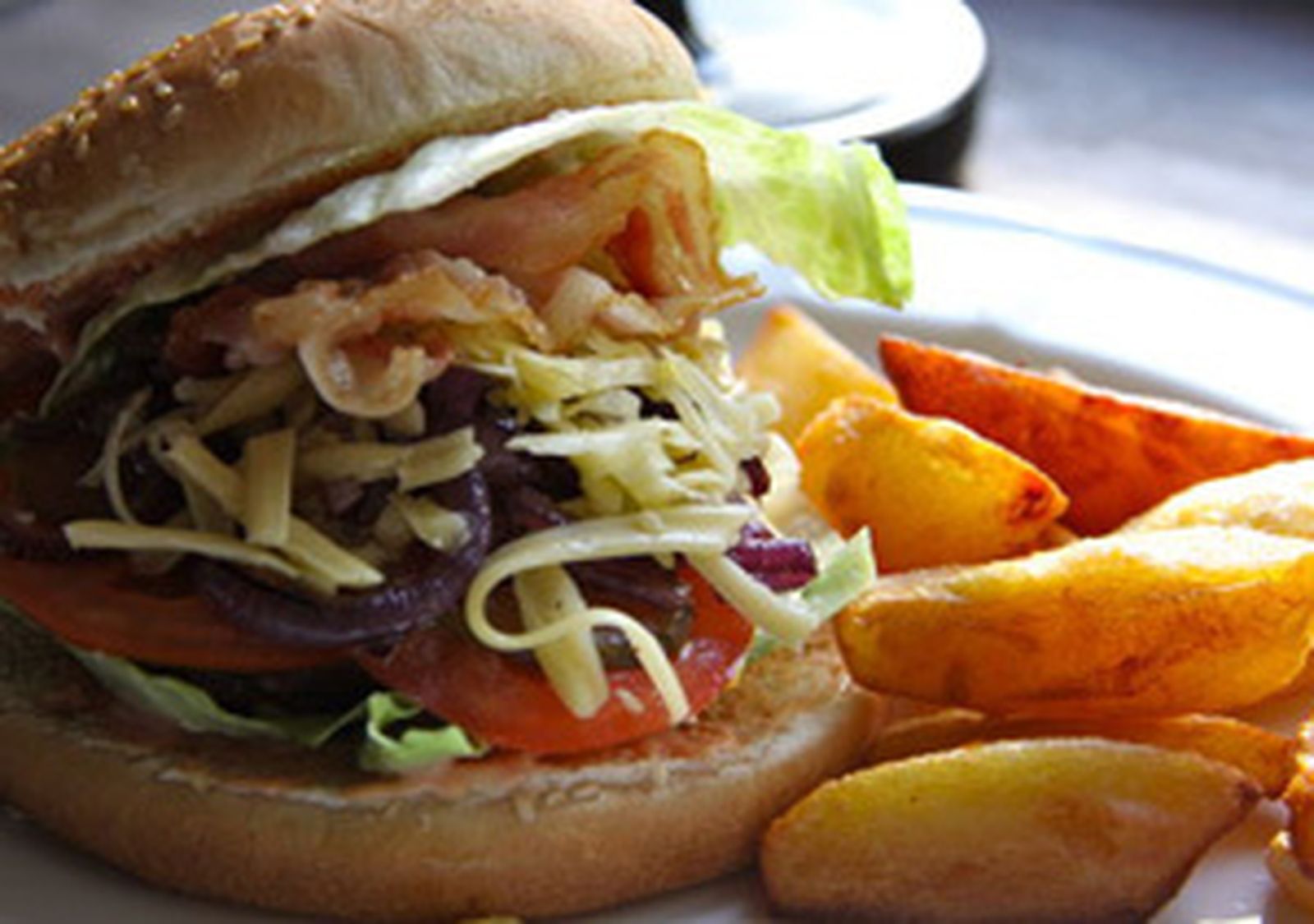 proteinas_300_hamburguesa