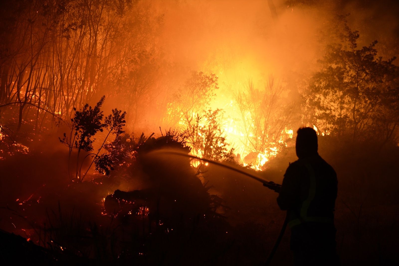 Incendio forestal
