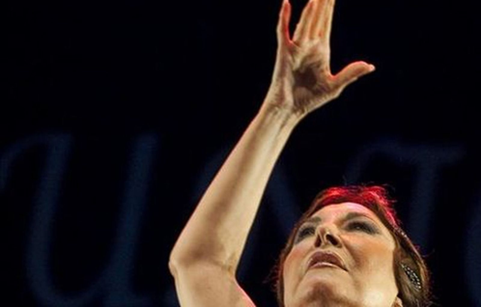 Hoy arranca la VII edición de Suma Flamenca