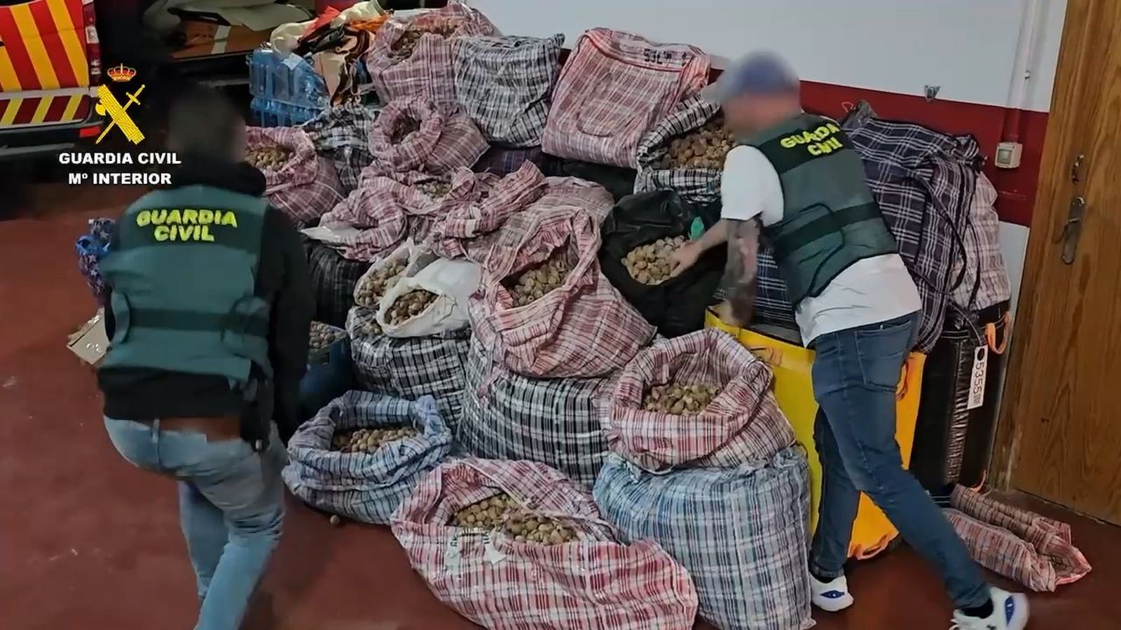 Detenidos tres hombres por robar y enviar amapola adormidera a España y Estados Unidos