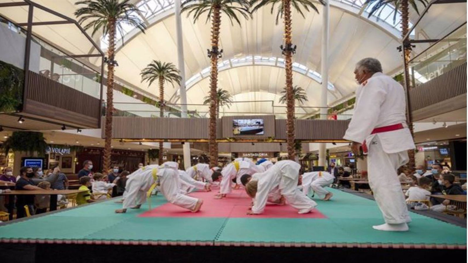 Judo