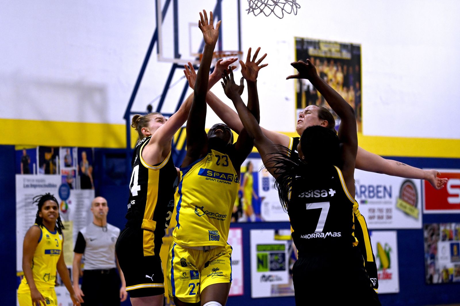 Movistar Estudiantes  -  CB SPAR Gran Canaria