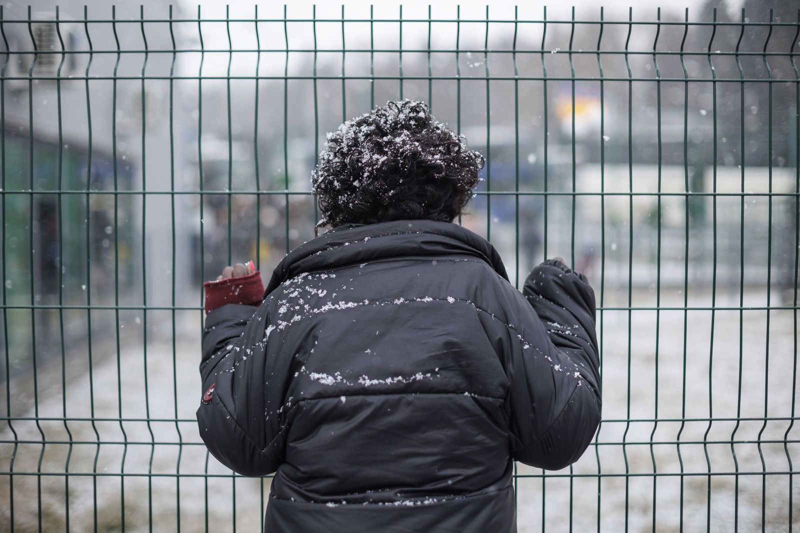 ACNUR eleva a más de medio millón los refugiados ucranianos huidos