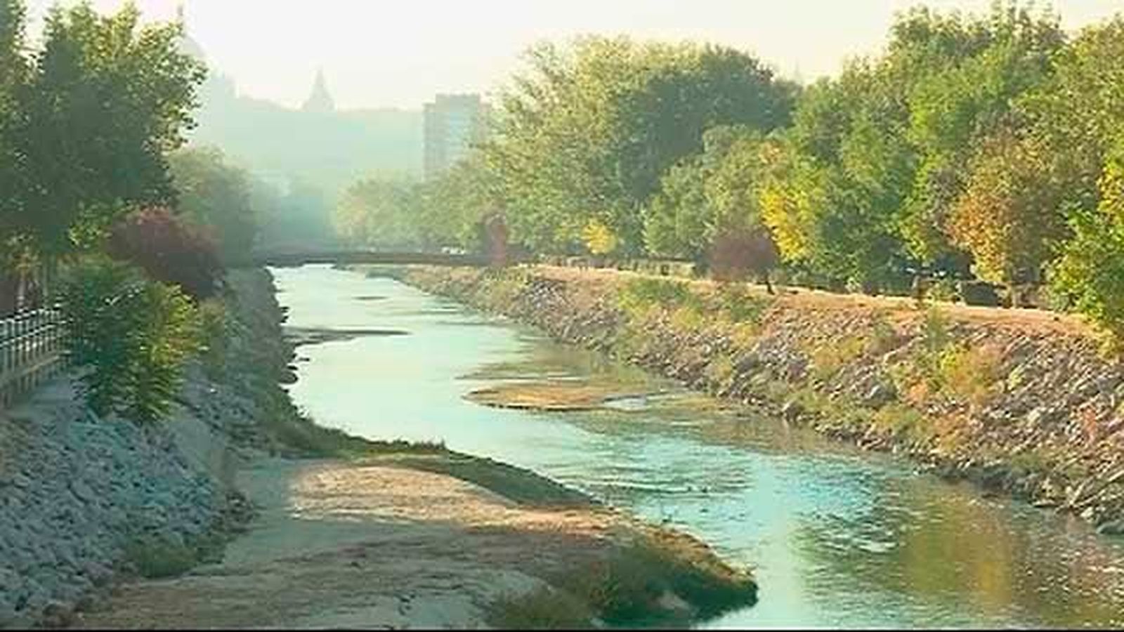Carmena quiere 17.000 plantas en el Manzanares y nuevas especies como la nutria