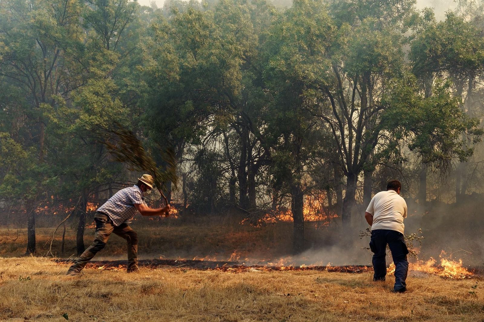 Madrid ayuda en la extinción del incendio en Ávila, que ha quemado ya al menos 12.000 hectáreas