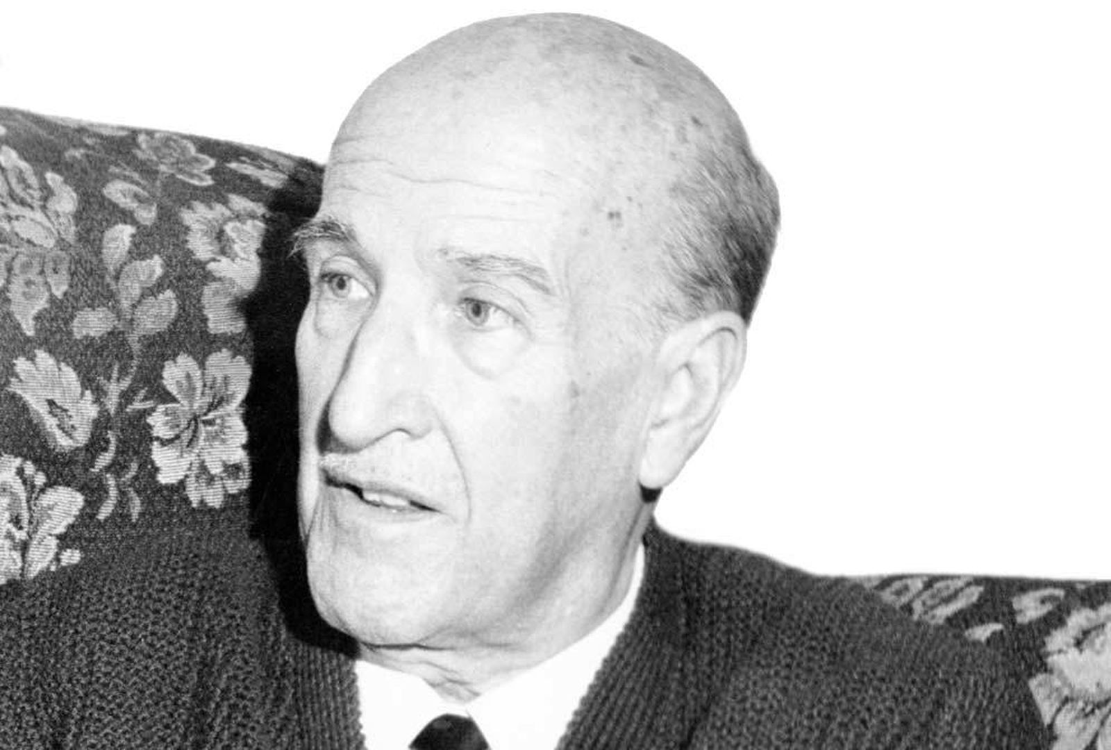 El escritor, Vicente Aleixandre